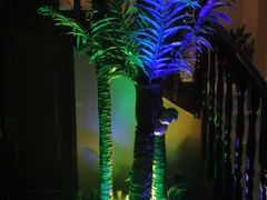 -唐宫足道·SPA·影院会馆(木渎店)