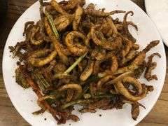 孜然鱿鱼须-砂锅李(九江路店)