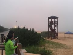 -日照海滨国家森林公园