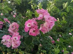 -天幕新彩云国际影城(激光巨幕店)