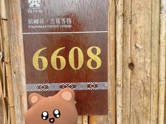 -海南槟榔谷黎苗文化旅游区