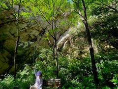 -大岭沟猕猴桃谷风景区