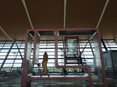 -上海浦东国际机场-T2航站楼