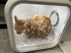 -萌小它宠物健康管理中心(怡海家园店)