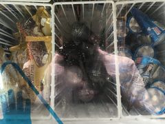 -上海新国际博览中心-P1立体停车场