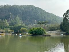 -南沙蒲洲花园