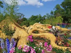 -深圳仙湖植物园