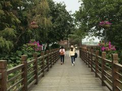 -大湾区中央湿地公园