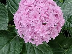 -常州古运河南大街文化旅游区-人民公园