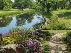 -上海共青森林公园