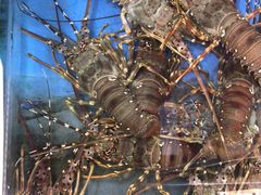 -七宝蔬菜农副产品综合交易市场-停车场