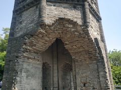 -上海佘山国家森林公园天马山园