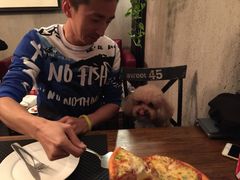 -百好乐宠物友好餐厅(朝外大街店)