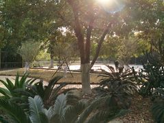 -广东茂名森林公园