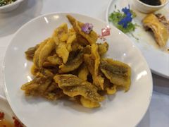 -丰收日(五角场店)