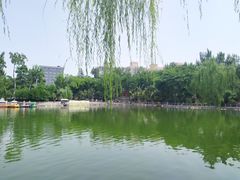 -莲湖公园
