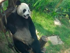 -大连森林动物园