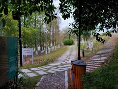 -厦门国家会计学院