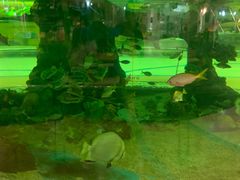 -尚泰清迈机场购物中心