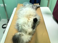 -美联众合动物医院·24h京西诊疗中心