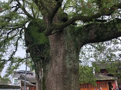 -新安江山水画廊风景区