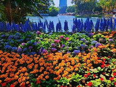 -荔湾湖公园