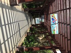 观澜湖矿物质温泉公园-海口观澜湖火山温泉谷