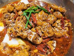 -成老灶火锅鸡(平山店)