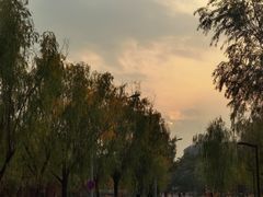 -北京石刻艺术博物馆(五塔寺)