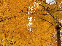 -金陵图书馆