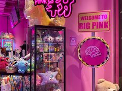 -BIG PINK大粉娃娃机主题馆(圆融星座店)