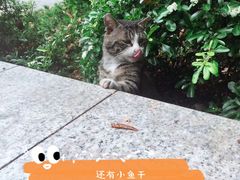 -塔子山公园