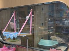 -BABIT巴比特宠物(MOMOPARK店)