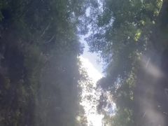 -南江大峡谷