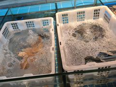 -争先鲜·蒸汽海鲜自助·鲜切牛肉