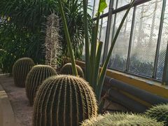 -南宫五洲植物乐园