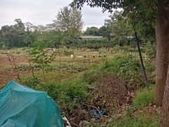 -三圣花乡旅游区