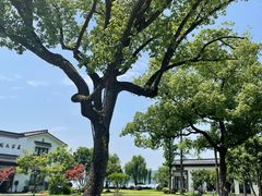 -杭州西湖柳莺里酒店·闻莺厅