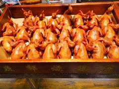 -燕郊烧鸽子(广安路店)