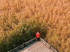 -野鸭湖国家湿地公园