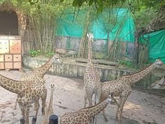 -长鹿旅游休博园