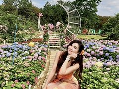 -天适樱花悠乐园