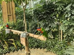-南宫五洲植物乐园