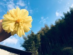 -北京清河万象汇