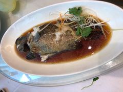 -骏莱海鲜鱼港(五角场店)