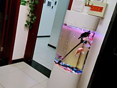 -弘智卉艺术教育/高端琴房(中央音乐学院店)