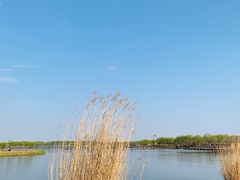 -西青郊野公园