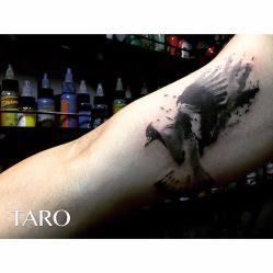 -太狼刺青Taro Tattoo Studio