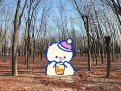 -朝阳公园游乐园