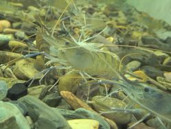 -钓虾工场·钓虾·赶海(回龙观店)